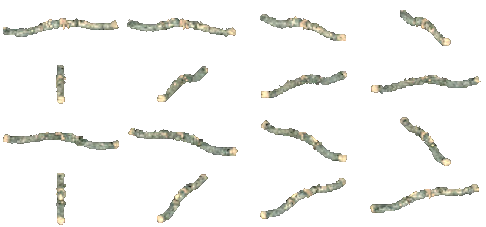 Unstrung bow, turning on itself: sixteen views rendered from the game itself.