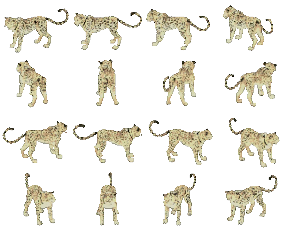 The Leopard, turning on itself: sixteen views rendered from the game itself.