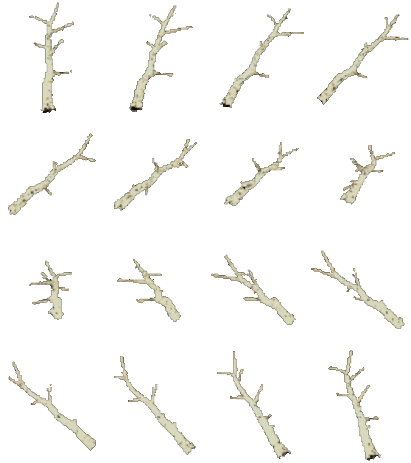 Dead branch, turning on itself: sixteen views rendered from the game itself.