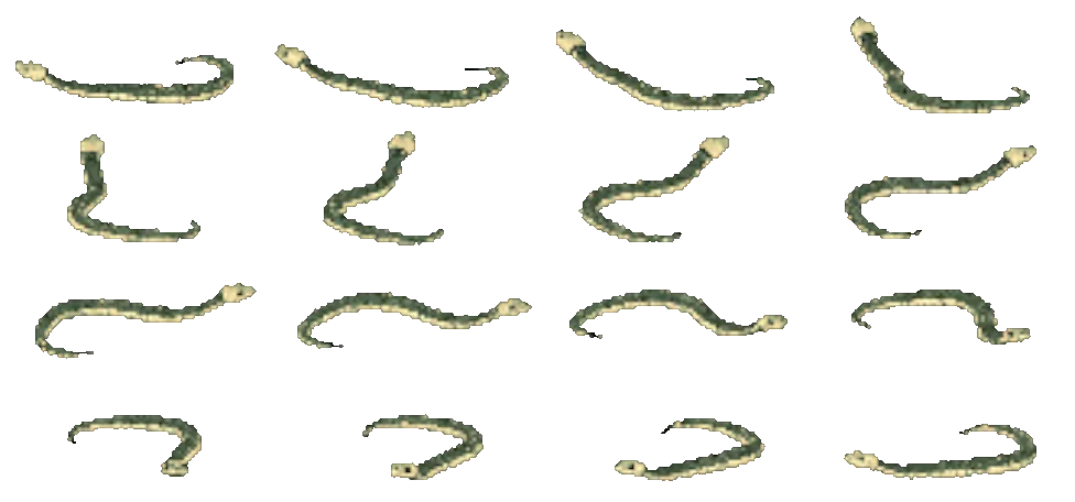 The Serpents, turning on itself: sixteen views rendered from the game itself.